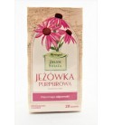 Jeżówka Purpurowa Zielnik Świata zioładoza
