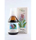 Tinctura Salviae płyndostos.wj.ust. 100ml